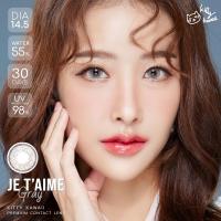 ราคา คอนแทคเลนส์ รุ่น Je t aime สีเทา ตาล Gray Brown มีค่าสายตา 0 00 10 00 (20957073314)
