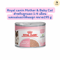 ราคา Royal Canin Mother Baby Cat Stage2 โรยัล คานิน แม่ให้นมและ ลูกแมว แบบกระป๋อง ขนาด 195 กรัม exp 04 2025 (21616042673)