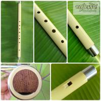 ราคา ขลุ่ยไทย เสียงเพียงออ ขนาด 22 มม ยาว 47 ซม เหมาะสำหรับเป่าเพลงไทยเดิม วัสดุพีวีซีเกรดเอ เลี่ยมด้วยสแตนเลส หัว ท้าย (20824481468)