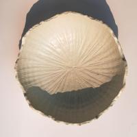 ราคา ชาม เซรามิค ถ้วย ชามตกแต่ง ชามสไตล์ญี่ปุ่น ชามสวยๆ ชามโบราณ (21614323940)