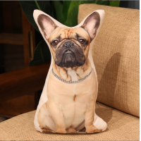 ราคา พร้อมส่ง ตุ๊กตาแมว ตุ๊กตาหมา หมอนรูปแมว หมา3D เหมือนตัวจริงเลย 50cm พร้อมส่ง (19987374229)