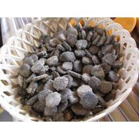 ราคา ฟักข้าว Cochinchin Gourd เมล็ดพันธุ์ฟักข้าว เมล็ดพันธุ์ฟักข้าว 20 เมล็ดพันธุ์ (2543302524)