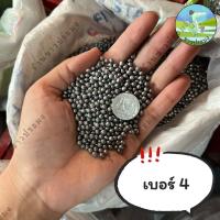 ราคา ลูกตะกั่ว ขายเป็นกิโล เบอร์ 1 8 ตะกั่วนก ตะกั่วหนู ตะกั่วเม็ด ตะกั่ว (21447095030)