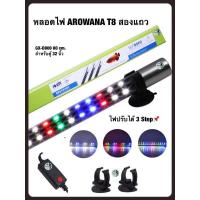 ราคา Roxin LED Lamp หลอดไฟ LED Arowana GX D800 80cm สำหรับตู้ขนาด 32 นิ้วใช้สำหรับตู้ปลามังกร บ่อปลา ตู้ปลา หลอด LED (19013181060)