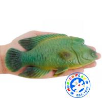 ราคา Munich Play โมเดล Humphead Wrasse ปลานกขุนทอง เขียว ขนาด 16 30 CM จากหาดใหญ่ (13092350099)