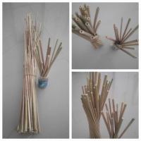 ราคา 100 ชิ้น ก้านอ้อ ก้านดอกหางหมา 2ท่อน ความยาว 35 50ซม (21177131409)