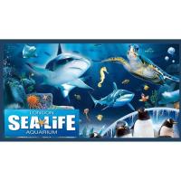 ราคา QRCode Barcode บัตรซีไลฟ์ สยามโอเชียลเวิลด์ Sealife Ocean World Sea Life 4D ภาพยนต์ 4 มิติ นั่งเรือท้องกระจก (21556081843)