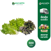 ราคา สลัดมิกซ์ 3 ชนิด คัดเกรด 500 กรัม แพ็ค สั่งเลยที่ตลาดไทออนไลน์ (21725492287)