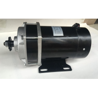 ราคา สั่งซื้อครั้งละ 1ตัว มอเตอร์ DC ชนิดแปลงถ่าน 12v 24v 36v 250w 1000w (12546062454)