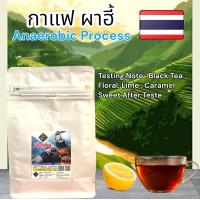 ราคา ผาฮี้ Dry Anaerobic Process Pha Hee กาแฟผาฮี้ Special PHAHEE (17212770983)