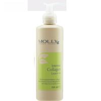 ราคา Molly Everlasting Ends Treatment 500ml Curl Therapy 200ml Collagen Leave In 250ml มอลลี่ บำรุงผม (21712819673)