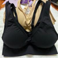 ราคา เสื้อชั้นในซาบีน่าแท้ ทรงสวม sbxa995 ยืดหยุ่น sabina freesize ยืดหยุ่น ไร้โครง กระชับ ฟรีไซส์ ราคาส่ง ระบายอากาศ ไร้โครง (21428968556)