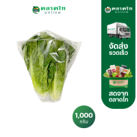 ราคา สลัดคอส คัดเกรด 1กก แพ็ค สั่งเลยที่ตลาดไทออนไลน์ (21725474852)