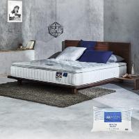 ราคา SB Design Square ที่นอน Lotus รุ่น Aritz ขนาด 3 5 ฟุต แถมฟรี หมอนหนุน 1ใบ (12727417960)