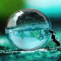 ราคา น้ำหอมแบรนด์ Aqva Pour Homme for men perfume 100ml น้ำหอมผู้ชายติดทนนาน (21505656797)