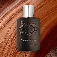 ราคา น้ำหอมแบรนด์ Haltane Pegasus Exclusif for men 125ml น้ำหอมผู้ชายติดทนนาน (21639046660)