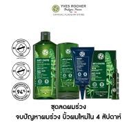 ราคา เซต4ชิ้น อีฟ โรเช Yves Rocher Anti Hair Loss Set แชมพูลดผมร่วง 300 มล ครีมนวดผมลดผมร่วง 200 มล ทรีตเมนต์ลดผมร่วง 1 เดือน และ เซรั่มลดผมร่วง 75 มล ยาสระผม แชมพู แชมพูแก้ผมร่วง ครีมนวดผม บำรุงผม เซรั่ม 