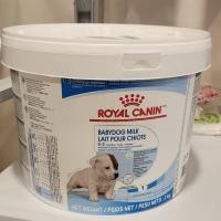ราคา Royal Canin Baby dog Milk ถัง2kg กระปุก400g และแบบแบ่งขายถุงฟรอย โรยัลคานิน นมผงทดแทน นมลูกสุนัข ชูการ์ไกรเดอร์ กระรอก 2กก 400 กรัม ยกกระป๋องแถมขวดนม (21401519687)