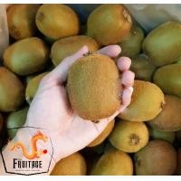 ราคา กีวี่เขียว Green KIWI ยกลัง50 70ลูก CHN ลดพิเศษ ผลไม้สดๆ พรีเมี่ยม ผลไม้สดนำเข้า ผลไม้นอก กีวีสีเขียว กีวี่สด ผลไม้กีวี่ ขายส่ง ราคาส่ง (6356600083)