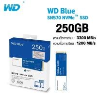 ราคา WD Blue SSD 250GB SN570 PCIe 3 NVMe M 2 2280 WDS250G3B0C เอสเอสดี SOLID STATE DRIVE (15921402907)