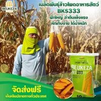 ราคา เมล็ดพันธุ์ข้าวโพดเลี้ยงสัตว์ลูกผสมเดี่ยว BKS333 บรรจุ 10 กิโลกรัม (15754496438)