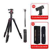 ราคา ขาตั้งกล้อง Zomei Series Q444 Q555 Q666 Camera tripod สูง 173cm แบกภาระ 10kg ขาตั้งกล้องอลูมิเนียมแมกนีเซียมสำหรับวิดีโอและภาพถ่าย DSLR ขากล้องมือถือ ขาตั้งกล้องliveสด ขาตั้งกล้อ (21581243963)