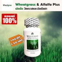 ราคา 1 กระปุก 120 เม็ด Wheatgrass Alfalfa Plus ผลิตภัณฑ์อาหารเสริมแอมสตรอง วีทกราส อัลฟัลฟ่า พลัส ผักเม็ดแท้ สูตรดั้งเดิม ผักเม็ด superfood (14550172745)