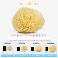 ราคา ฟองน้ำธรรมชาติแท้100 ฟองน้ำอาบน้ำเด็ก ชนิด Honeycomb เนื้อนุ่ม ฟู อุ้มน้ำดีเยี่ยม อ่อนโยนต่อผิวที่บอบบาง แพ้ง่าย ใช้ได้ตั้งแต่น้องแรกเกิดขึ้นไป (21505196731)