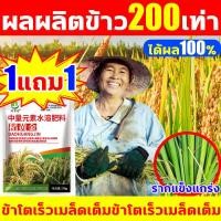 ราคา ข้าวเต็ม รากแข็งแรง ฮอร์โมนพืชข้าว ซื้อ1แถม1 ฮอร์โมนข้าว ผลผลิตข้าวเพิ่มขึ้น200เท่า เร่งเต่งข้าว เร่งการเจริญเติบโตของข้าว ปลอดสารพิษไม่เป็นอันตราย ฮอร์โมนฉีดข้าว กรดอะมิโน ปุ๋ยเกล็ดทางใบ ฮอร์โมนบำรุ 