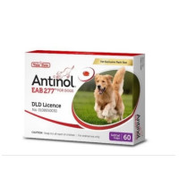 ราคา จัดส่งในวันเดียวกัน Antinol DOG ช่วยบำรุงข้อ กระดูก ขน ผิวหนัง และไต 1 กล่อง 60 caps สำหรับสัตว์เลี้ยง EXP 10 2025 (21651940811)