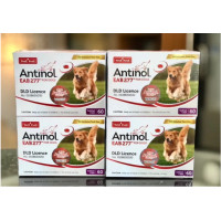ราคา Antinol DOG ช่วยบำรุงข้อ กระดูก ขน ผิวหนัง และไต 1 กล่อง 60 caps สำหรับสัตว์เลี้ยง EXP 10 2025 (21565389961)