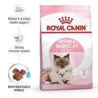 ราคา ราคาพิเศษ Royal Canin Starter Mother Baby Cat 1 2 4 kg อาหารแม่แมวตั้งท้อง ให้นม และ ลูกแมวอายุต่ำกว่า 4 เดือน (21728013305)