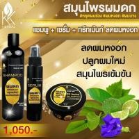 ราคา เชต 3 ชิ้น แชมพูคู่ เซรั่ม ทรีทเม้นท์ สมุนไพรผมดก สูตรใหม่ลดหงอก (20878439593)