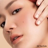 ราคา EVERPINK The Blush and Kiss Duo Blush My Feelings Lip Sass Red Box (21117603307)