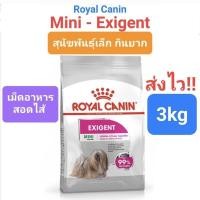 ราคา Exp 2025 Royal Canin Mini Exigent 3kg โรยัล คานิน สำหรับสุนัขเลือกกิน เม็ดอาหารสอดไส้ ขนาด 3 กิโลกรัม (16492080871)
