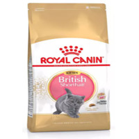 ราคา Royal canin British Shorthair Kitten 2kg (21600529588)