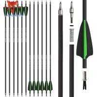 ราคา 12pcs Carbon Arrow 30 SP500 Compound Bow Recurve Bow (21099663796)