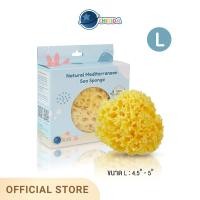 ราคา Chitida ฟองน้ำธรรมชาติแท้ 100 ฟองน้ำอาบน้ำเด็ก นุ่มมาก ใช้ได้นาน สายพันธุ์ Honeycomb (15648643352)