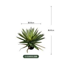 ราคา ต้นจันทร์ผา ต้นไม้ปลอมแต่งบ้าน พร้อมกระถางดำ ต้นไม้แต่งบ้าน โดนแดด โดนฝนได้ ต้นไม้มงคล บ้านและสวน พร้อมส่ง Plant L Jun (21441048219)