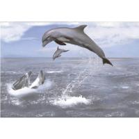 ราคา กระเบื้องผนังภาพชุด MORIS DOLPHIN 60X90 A 30X45CM 4 แผ่น ชุด (779274732)