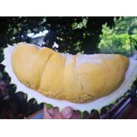 ราคา ส่งฟรี ทุเรียนนกหยิบ นกหยิบ ทุเรียนพันธุ์พื้นเมือง ทุเรียนจันทบุรี น้ำตาลน้อย จัดส่งทั้งลูก (20879879440)