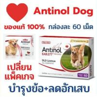 ราคา Antinol สุนัข อาหารเสริมบำรุงข้อ ลดอักเสบ ของ แคปซูล หมดอายุ 2025 แพ็คเกจใหม่ อาหารเสริมบำรุงข้อ ข้ออักเสบ 1 กล่องบรรจุ 60 เม็ด (21539850817)