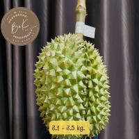 ราคา ส่งฟรี ทุเรียนชะนีไข่ เนื้อหวาน มัน อร่อย ทุเรียนจันทบุรี มีรับประกันสินค้า จัดส่งทั้งลูก (18430865395)