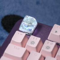 ราคา 1 Piece Ice Rose Polar Bear Steampunk Gear Pond Fish Koi Stars Artisan Resin Keycaps ESC Mechanical Backlit Keyboard RGB Keycap (20334821201)