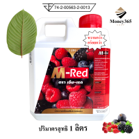 ราคา ส่งฟรี แพ็ค แกลลอน 1 ลิตร M Red เอ็ม เรด น้ำหวานกลิ่นผลไม้รวมเข้มข้น บรรจุ 1 ลิตร (21526187108)