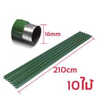 ราคา ใช้ได้ 100ปี 10ชิ้น ไม้ค้ำต้นไม้ ไม้ค้ำยัน ไม้หลัก เสาค้ำต้นไม้ เสามะเขือเทศ หลักไม้เลื้อย เสาไม้เลื้อย ยาว60 210ซม หนา8 16มม ซุ้มไม้เลื้อย โครงไม้เลื้อย ไม้ค้ำยันต้นไม้ ซุ้มต้นไม้ หลักไม้ค้ำ ท่อเหล็ 