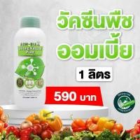 ราคา พร้อมส่ง ออมเบี้ย วัคซีนพืช ฮอร์โมนพืชและปุ๋ยทางใบ สกัดจากธรรมชาติ ส่งฟรี (15503381862)