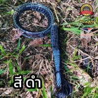 ราคา ครืนดักไก่ป่า ชุด35หลัก ใช้ต่อไก่ป่า ดักไก่ป่า งานต่อสายพีอี มีระบบล้อค งานเอ็น70ปอนด์ (19641523226)