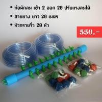 ราคา ท่อพักลม ท่อแยกลม เข้า2 ออก20 แถมสายยาง 20 เมตรและหัวทรายจิ๋ว 20 หัว (108770961)