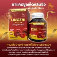ราคา เห็ดหลินจือ เห็ดหลินจือแดง 100 Lingzhi mushroom 1กล่อง 60 แคปซูลGMP ตราม้ามังกรเหยียบดาว (2161234952)